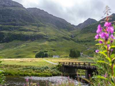 greenery, wildflowers, and freshwater at Glen Coe valley during a sunny, bright day