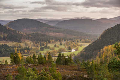 image of Highlight Cairngorms Scotland tours