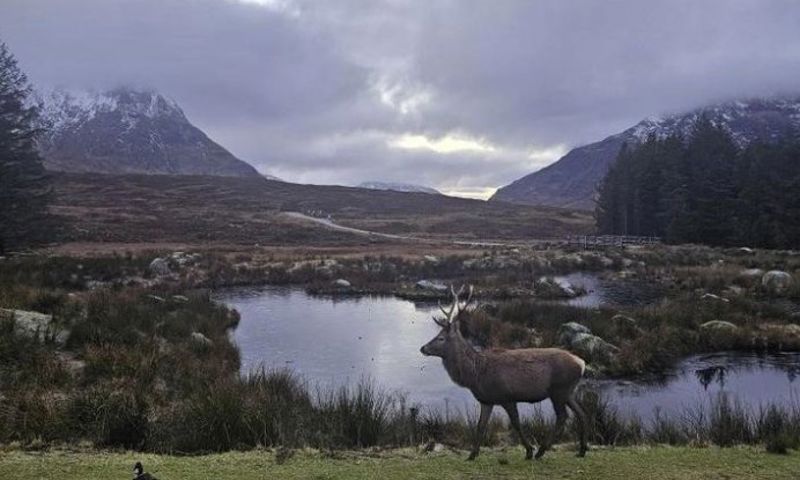 📸 by our driver guide @tartan_tom at beautiful Glen Coe. 