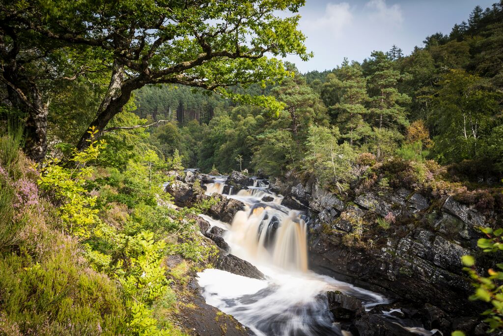 image of Highlight Rogie Falls