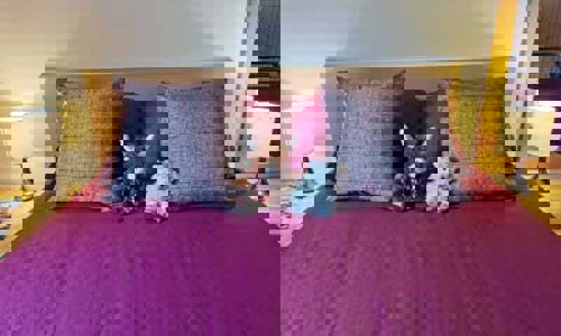 Double Room Morags Lodge