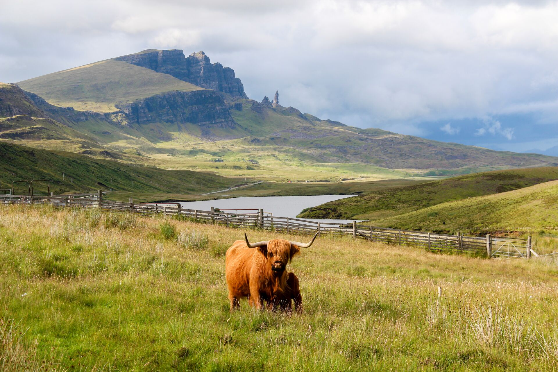 Rock formation of Old Man of Storr on Isle of Skye, with high-rising stone spikes during a sunny day