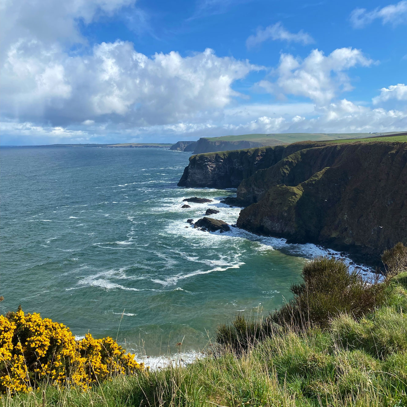 image of Highlight Troup Head RSPB Nature Reserve
