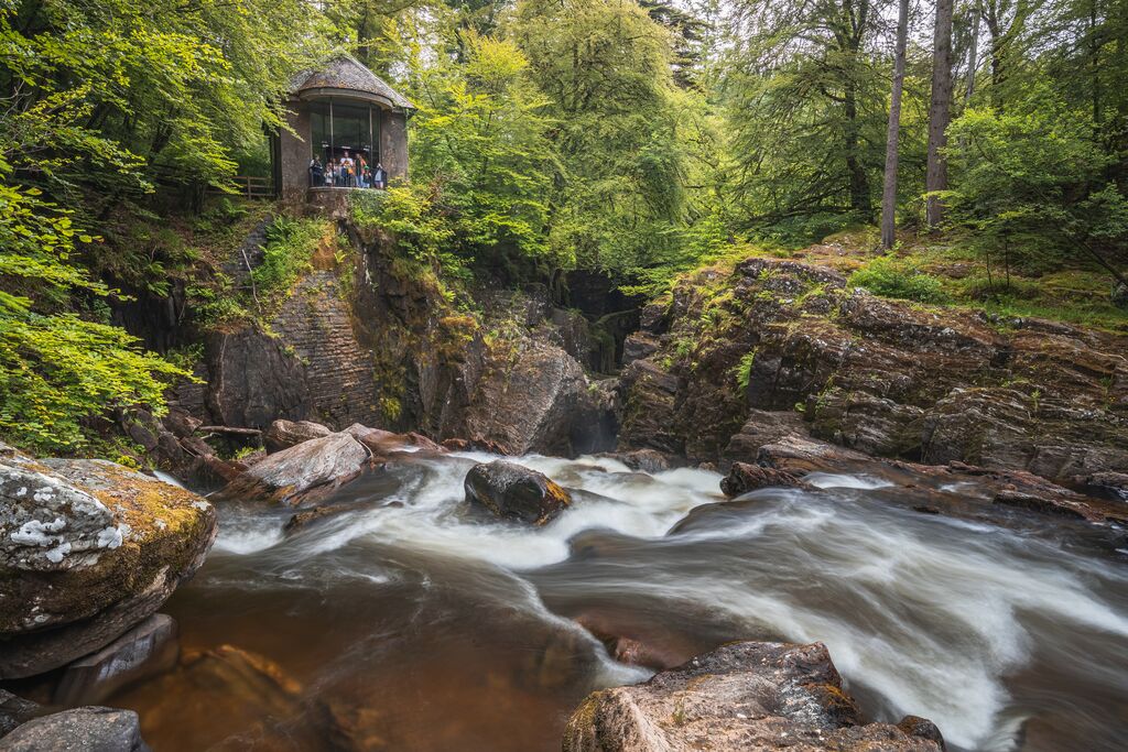 image of Highlight The Hermitage Forest Scotland tours