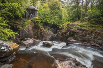image of Highlight The Hermitage Forest Scotland tours