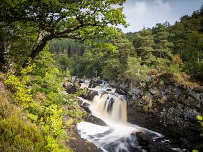 Rushing waterfall among trees in Summer