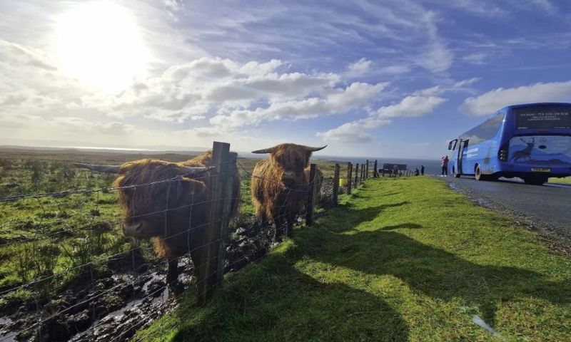 Our driver guide @ali.goes.to had a lucky encounter with these two beauties on her Isle of Skye tour recently 🥰⁠ ⁠