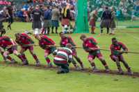  Tug o'War