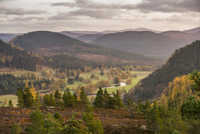 Cairngorms National Park