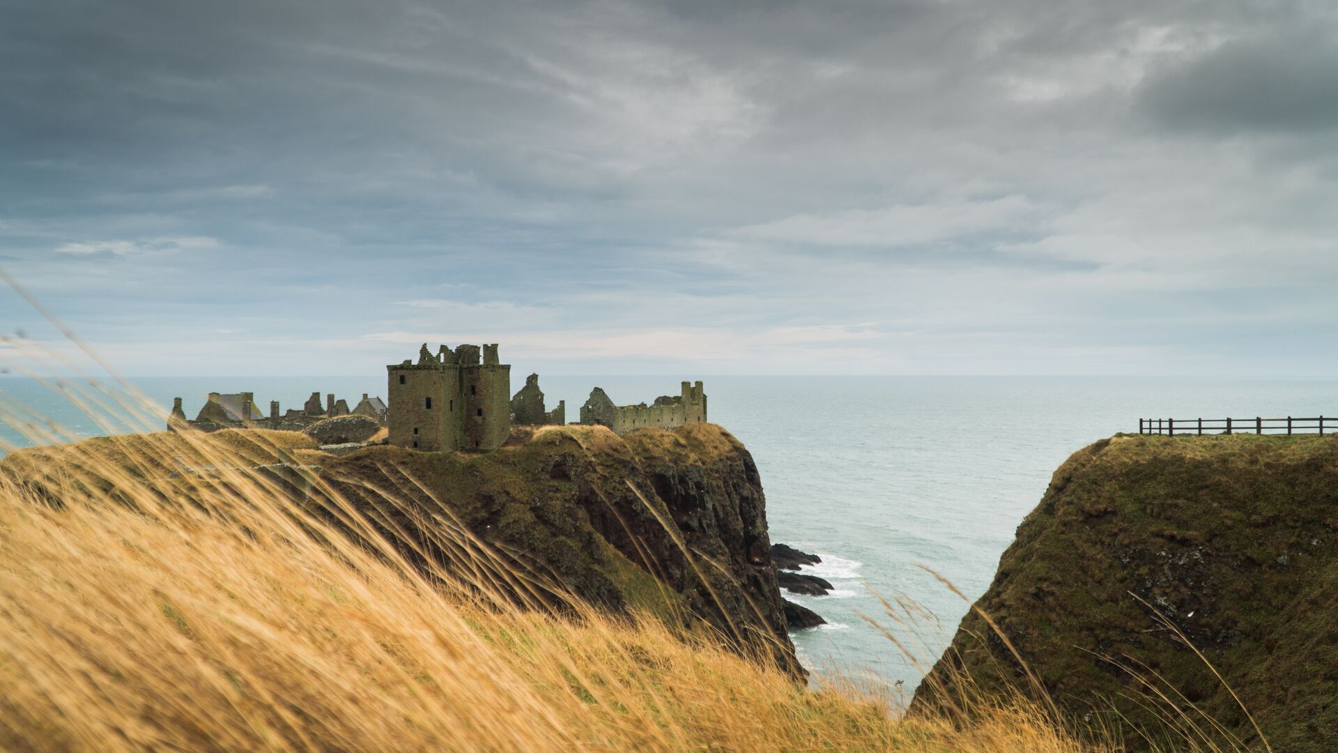 Home page header Image