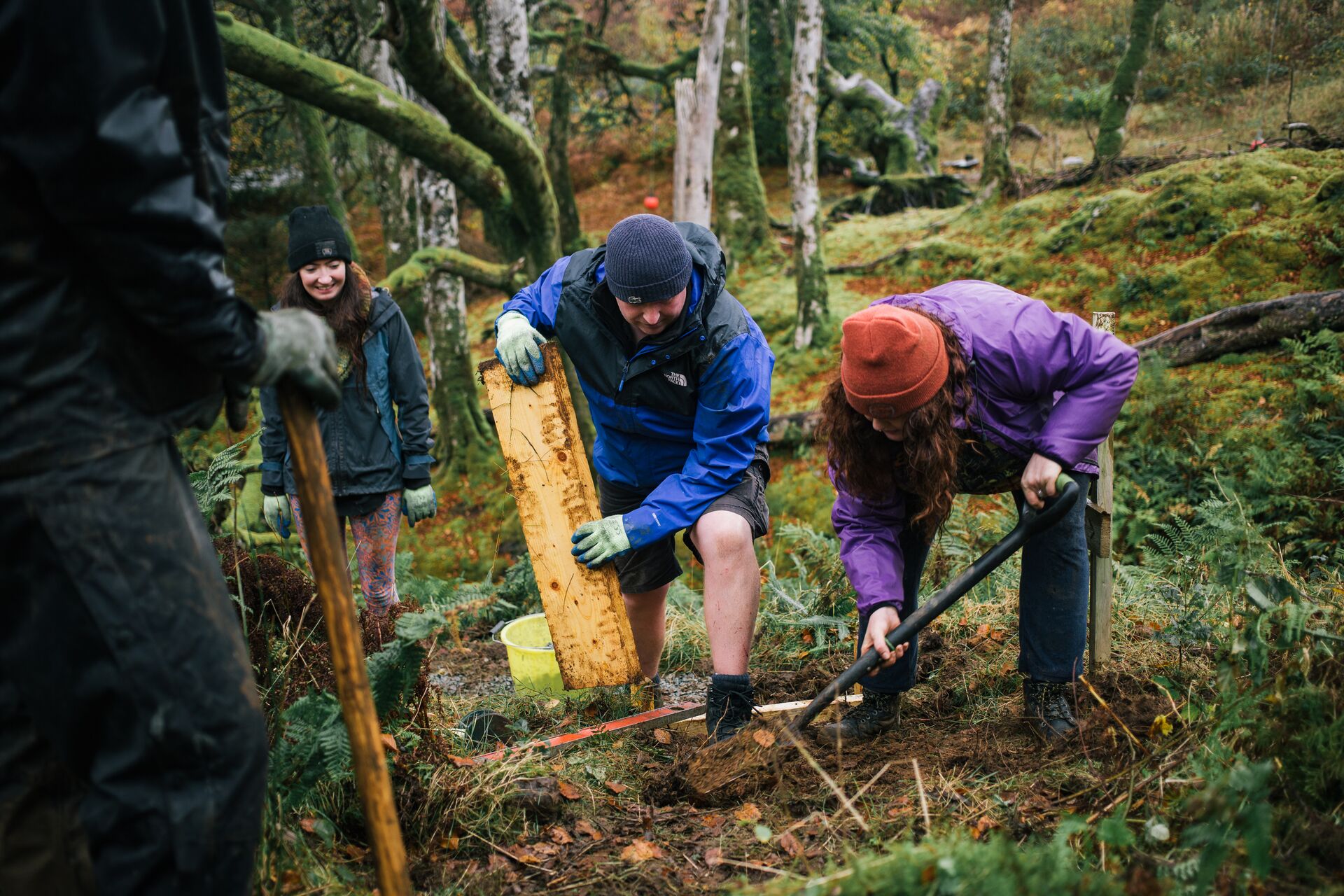 image of Highlight Path & Step Building