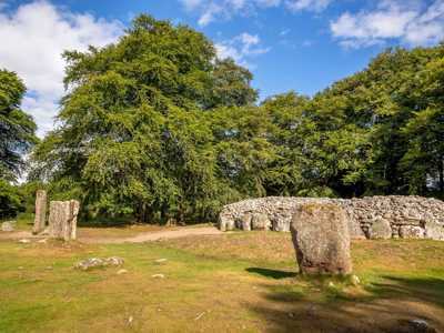 Ancient Clava Cairns stones in Scotland, a prehistoric burial site with moss-covered standing stones and circular cairns